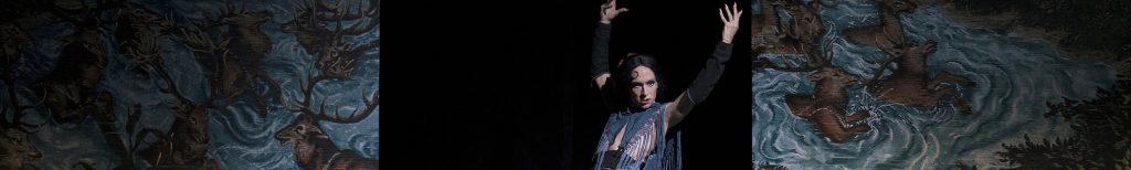 Romances inciertos, un autre Orlando