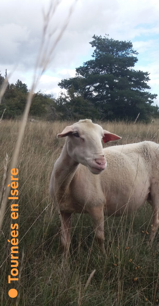 Larzac !