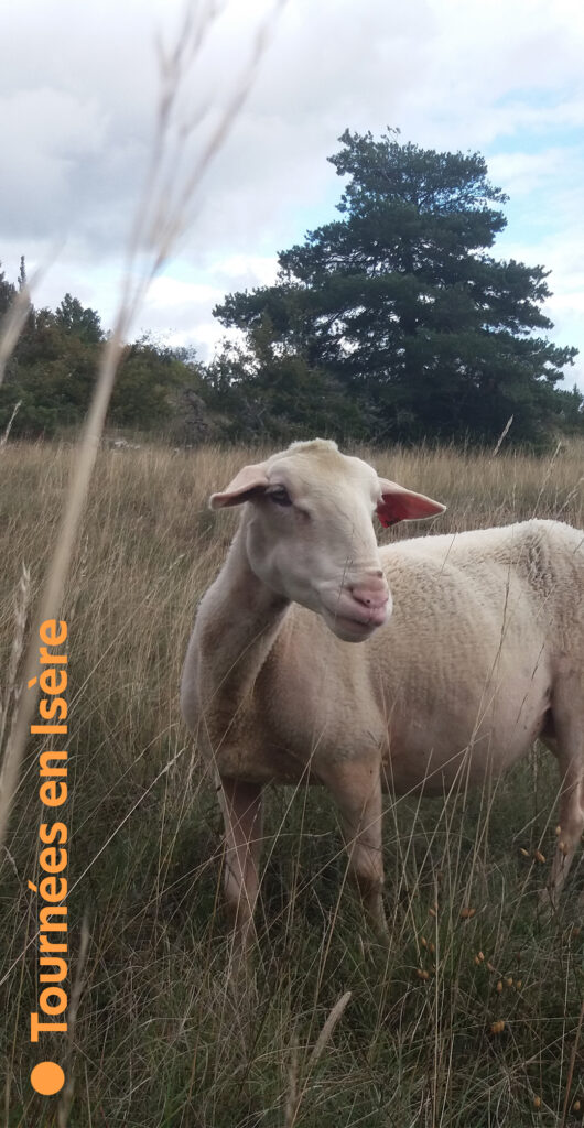 Larzac !