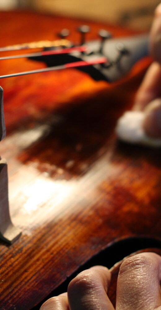 Visite chez le luthier  