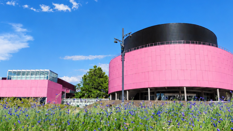 Octobre Rose : des artistes prennent la parole
